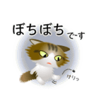 色々な猫14-3 長毛-立ち耳-キジトラ白（個別スタンプ：20）