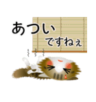 色々な猫14-3 長毛-立ち耳-キジトラ白（個別スタンプ：21）