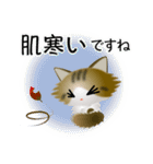 色々な猫14-3 長毛-立ち耳-キジトラ白（個別スタンプ：22）