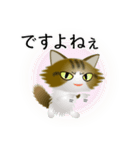 色々な猫14-3 長毛-立ち耳-キジトラ白（個別スタンプ：23）