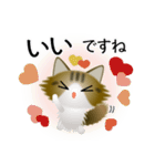 色々な猫14-3 長毛-立ち耳-キジトラ白（個別スタンプ：24）