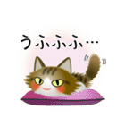 色々な猫14-3 長毛-立ち耳-キジトラ白（個別スタンプ：25）