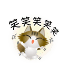 色々な猫14-3 長毛-立ち耳-キジトラ白（個別スタンプ：26）