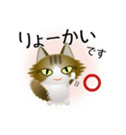 色々な猫14-3 長毛-立ち耳-キジトラ白（個別スタンプ：27）