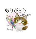 色々な猫14-3 長毛-立ち耳-キジトラ白（個別スタンプ：31）