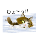 色々な猫14-3 長毛-立ち耳-キジトラ白（個別スタンプ：34）
