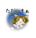 色々な猫14-3 長毛-立ち耳-キジトラ白（個別スタンプ：38）