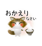 色々な猫14-3 長毛-立ち耳-キジトラ白（個別スタンプ：39）