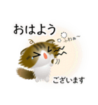 色々な猫14-4 長毛-垂れ耳-キジトラ白（個別スタンプ：2）