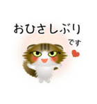 色々な猫14-4 長毛-垂れ耳-キジトラ白（個別スタンプ：3）
