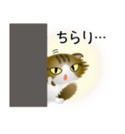 色々な猫14-4 長毛-垂れ耳-キジトラ白（個別スタンプ：6）