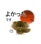 色々な猫14-4 長毛-垂れ耳-キジトラ白（個別スタンプ：11）