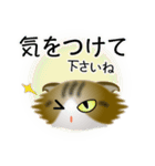 色々な猫14-4 長毛-垂れ耳-キジトラ白（個別スタンプ：14）