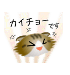 色々な猫14-4 長毛-垂れ耳-キジトラ白（個別スタンプ：17）