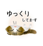 色々な猫14-4 長毛-垂れ耳-キジトラ白（個別スタンプ：18）
