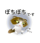 色々な猫14-4 長毛-垂れ耳-キジトラ白（個別スタンプ：20）