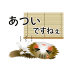 色々な猫14-4 長毛-垂れ耳-キジトラ白（個別スタンプ：21）