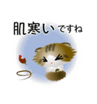 色々な猫14-4 長毛-垂れ耳-キジトラ白（個別スタンプ：22）