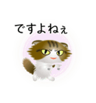 色々な猫14-4 長毛-垂れ耳-キジトラ白（個別スタンプ：23）