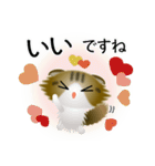 色々な猫14-4 長毛-垂れ耳-キジトラ白（個別スタンプ：24）