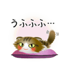 色々な猫14-4 長毛-垂れ耳-キジトラ白（個別スタンプ：25）