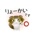色々な猫14-4 長毛-垂れ耳-キジトラ白（個別スタンプ：27）