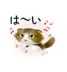 色々な猫14-4 長毛-垂れ耳-キジトラ白（個別スタンプ：29）