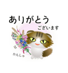 色々な猫14-4 長毛-垂れ耳-キジトラ白（個別スタンプ：31）