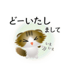 色々な猫14-4 長毛-垂れ耳-キジトラ白（個別スタンプ：33）