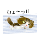 色々な猫14-4 長毛-垂れ耳-キジトラ白（個別スタンプ：34）