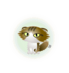色々な猫14-4 長毛-垂れ耳-キジトラ白（個別スタンプ：37）