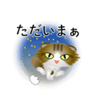 色々な猫14-4 長毛-垂れ耳-キジトラ白（個別スタンプ：38）