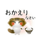 色々な猫14-4 長毛-垂れ耳-キジトラ白（個別スタンプ：39）