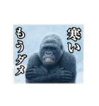 動く☆ゴリラ（個別スタンプ：7）