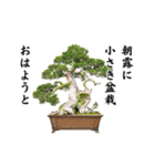 盆栽スタンプ2俳句編 87（個別スタンプ：1）