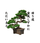 盆栽スタンプ2俳句編 87（個別スタンプ：7）