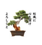 盆栽スタンプ2俳句編 87（個別スタンプ：10）