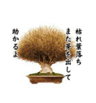 盆栽スタンプ2俳句編 87（個別スタンプ：17）