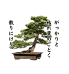 盆栽スタンプ2俳句編 87（個別スタンプ：34）