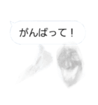 40スタンプ（あなたの18番）（個別スタンプ：33）