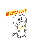 キャバ猫のスタンプとなっております（個別スタンプ：7）