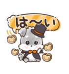 愛犬♡シュナウザーのご挨拶★【秋冬】（個別スタンプ：3）