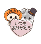 愛犬♡シュナウザーのご挨拶★【秋冬】（個別スタンプ：13）