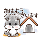 愛犬♡シュナウザーのご挨拶★【秋冬】（個別スタンプ：19）
