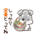 愛犬♡シュナウザーのご挨拶★【秋冬】（個別スタンプ：22）