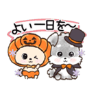 愛犬♡シュナウザーのご挨拶★【秋冬】（個別スタンプ：31）