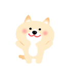 ほぼ文字無し日々の暮らし 犬 修正版（個別スタンプ：1）