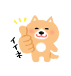 ほぼ文字無し日々の暮らし 犬 修正版（個別スタンプ：4）