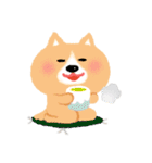 ほぼ文字無し日々の暮らし 犬 修正版（個別スタンプ：6）