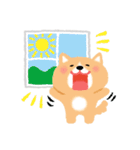 ほぼ文字無し日々の暮らし 犬 修正版（個別スタンプ：25）